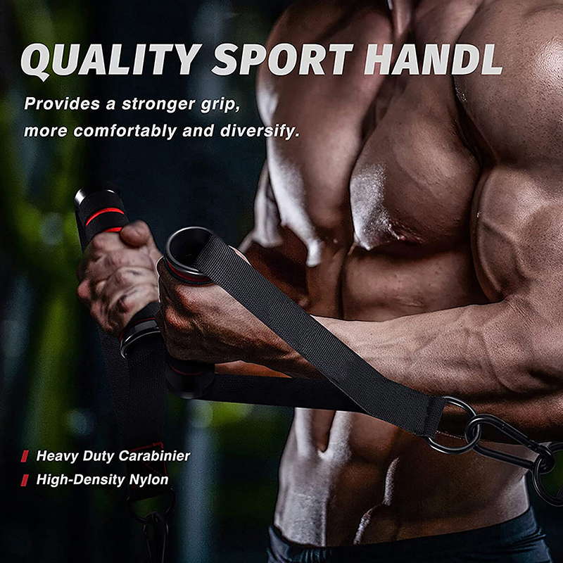 1Set D-Ring Metal Gym Handles  - đánh giá và giá D Ring Strap